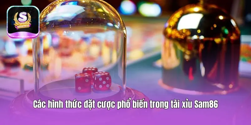 Các hình thức đặt cược phổ biến trong tài xỉu Sam86